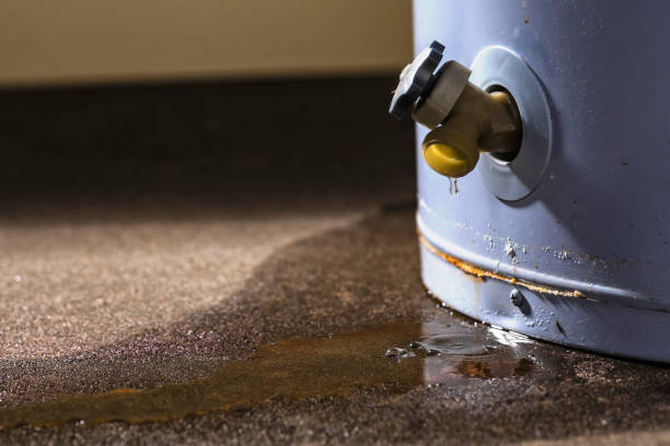 Best Flood damage cleanup  in Huntington Woods, MI