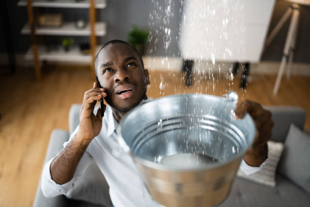 Best Carpet water damage restoration  in Huntington Woods, MI