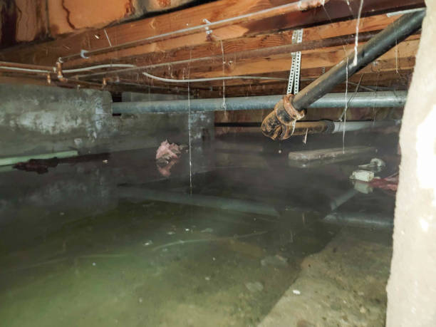 Best 24-hour water damage restoration  in Huntington Woods, MI
