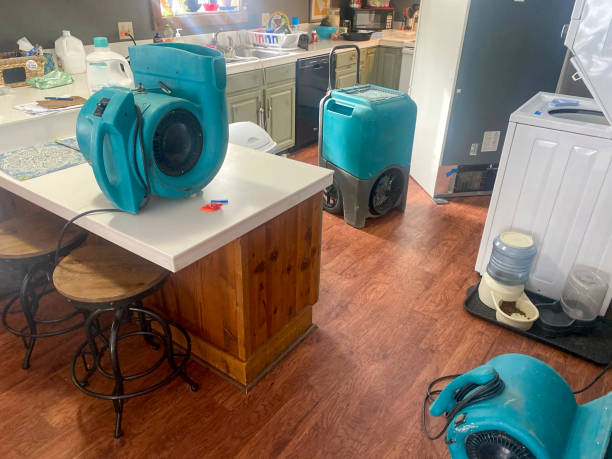 Trusted Huntington Woods, MI Water damage restoration Experts