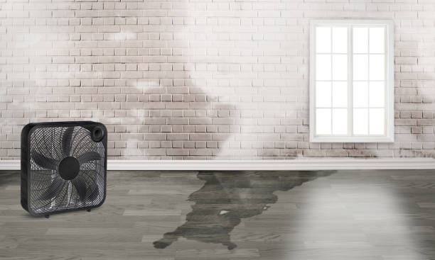 Best Water damage contractors near me  in Huntington Woods, MI