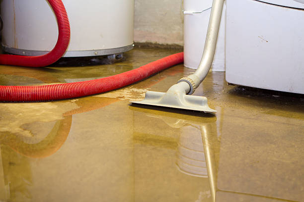 Best Mold removal after water damage  in Huntington Woods, MI