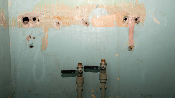 Best Water damage restoration near me  in Huntington Woods, MI