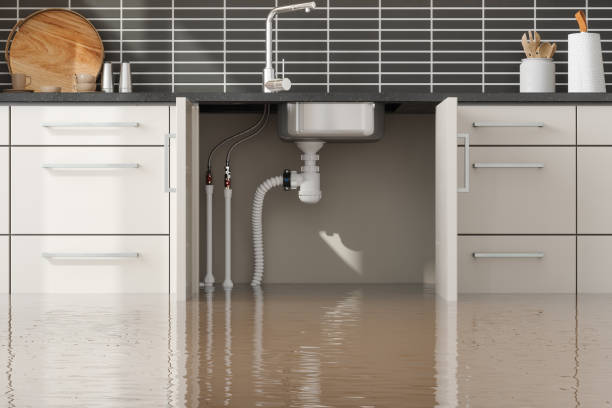 Best 24/7 water damage repair  in Huntington Woods, MI
