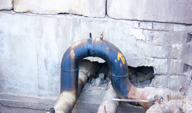 Best Water damage restoration specialists  in Huntington Woods, MI