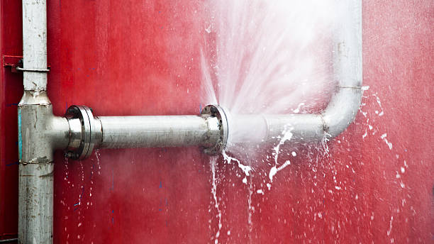 Best 24/7 water damage repair  in Huntington Woods, MI