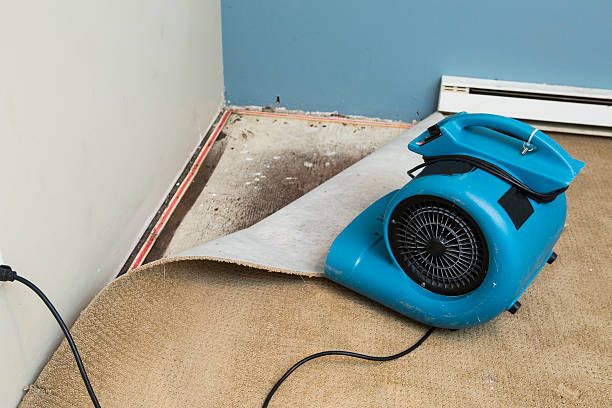 Best Fire Damage Restoration  in Huntington Woods, MI