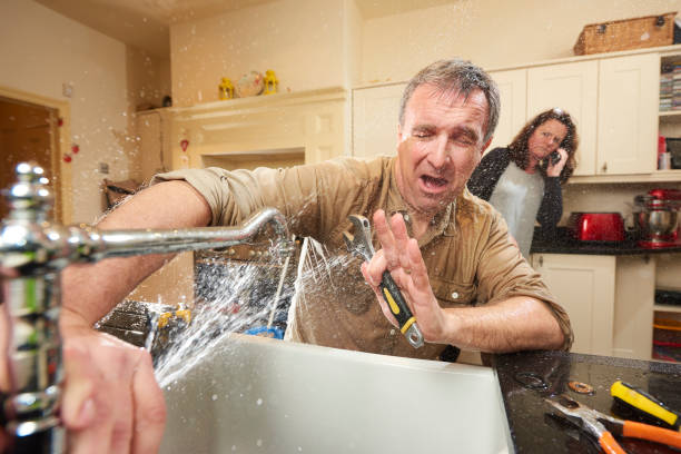 Best Water damage cleanup near me  in Huntington Woods, MI